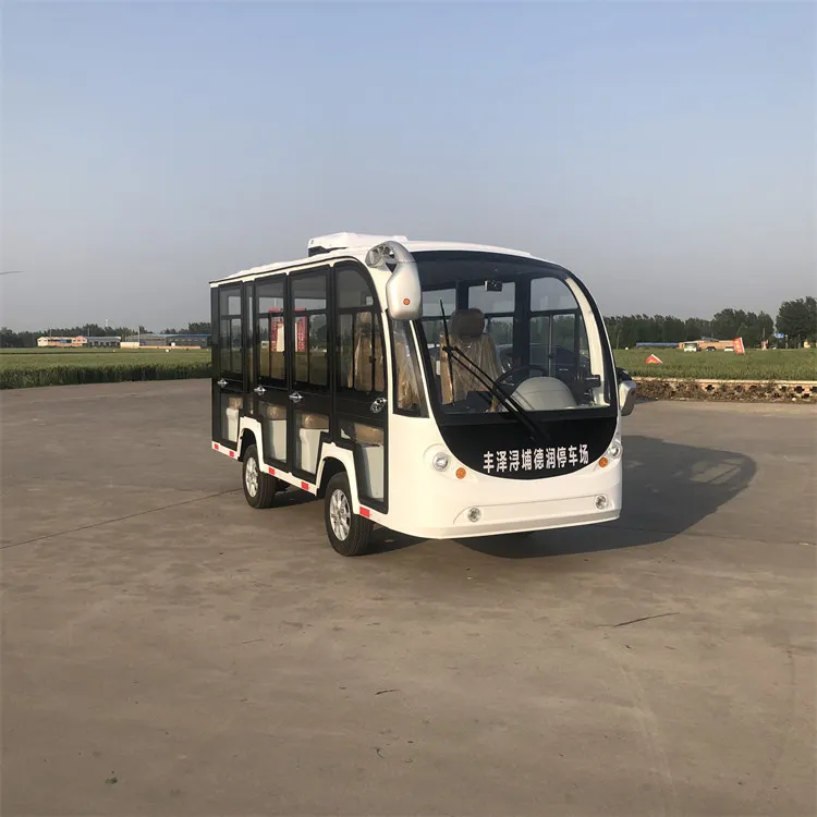 Elektrisches Touristen-Sightseeing-Auto