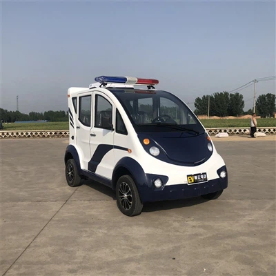 Ist es sicher, dass elektrische Patrouillenautos in regnerischen Tagen oder a...