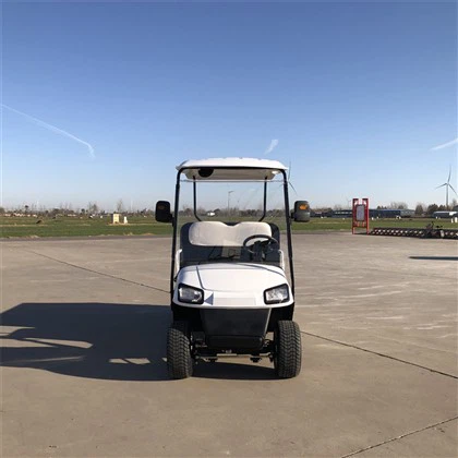 Mini-Elektro-LKW